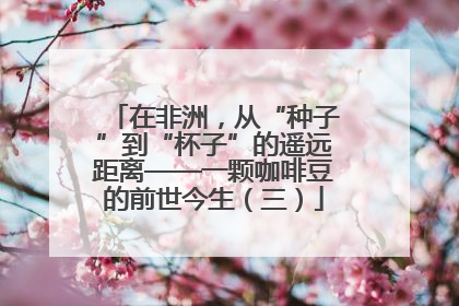 在非洲，从“种子”到“杯子”的遥远距离——一颗咖啡豆的前世今生（三）