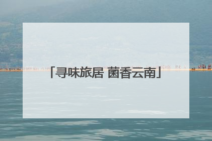 寻味旅居 菌香云南