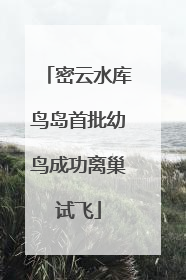 密云水库鸟岛首批幼鸟成功离巢试飞