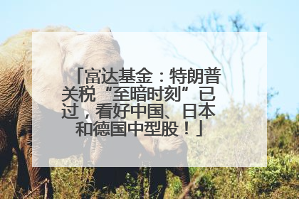 富达基金：特朗普关税“至暗时刻”已过，看好中国、日本和德国中型股！