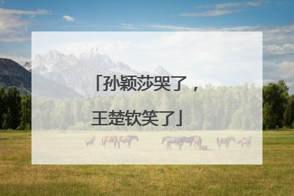 孙颖莎哭了，王楚钦笑了