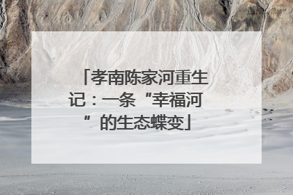 孝南陈家河重生记：一条“幸福河”的生态蝶变