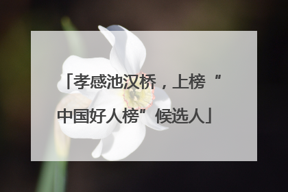孝感池汉桥，上榜“中国好人榜”候选人