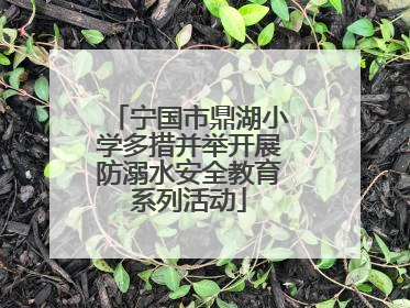 宁国市鼎湖小学多措并举开展防溺水安全教育系列活动