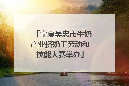 宁夏吴忠市牛奶产业挤奶工劳动和技能大赛举办