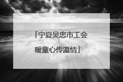 宁夏吴忠市工会暖童心传温情