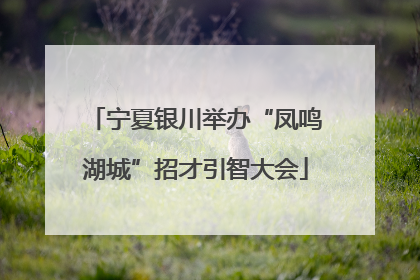 宁夏银川举办“凤鸣湖城”招才引智大会