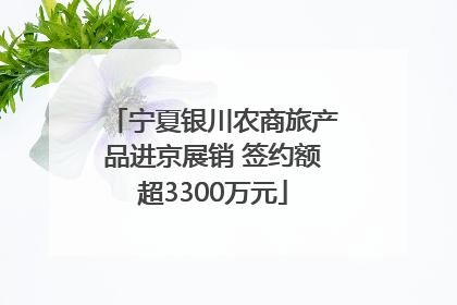 宁夏银川农商旅产品进京展销 签约额超3300万元
