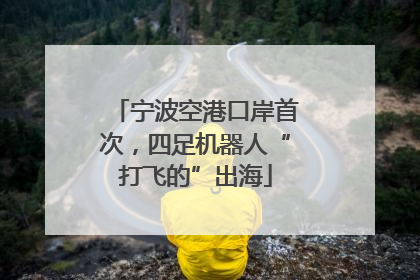 宁波空港口岸首次，四足机器人“打飞的”出海