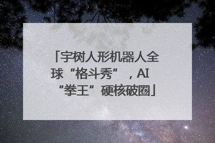 宇树人形机器人全球“格斗秀”，AI“拳王”硬核破圈