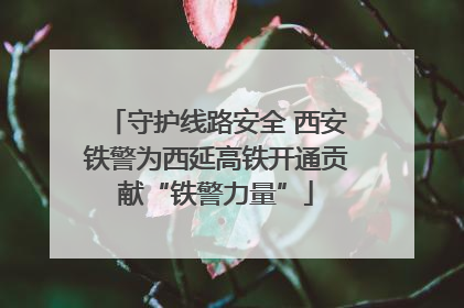 守护线路安全 西安铁警为西延高铁开通贡献“铁警力量”