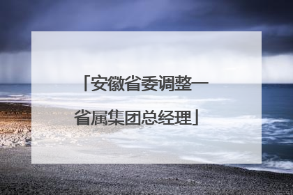 安徽省委调整一省属集团总经理