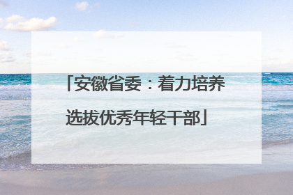 安徽省委：着力培养选拔优秀年轻干部