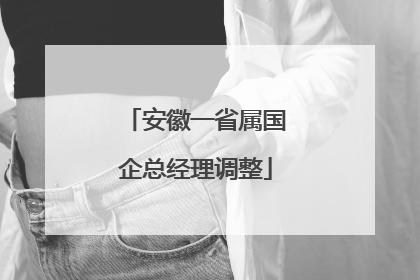 安徽一省属国企总经理调整