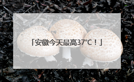 安徽今天最高37℃！