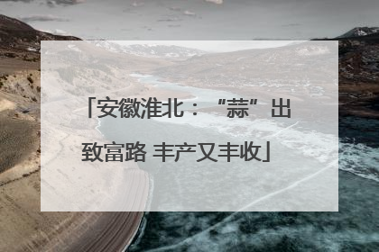 安徽淮北：“蒜”出致富路 丰产又丰收