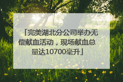 完美湖北分公司举办无偿献血活动，现场献血总量达10700毫升