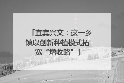 宜宾兴文：这一乡镇以创新种植模式拓宽“增收路”