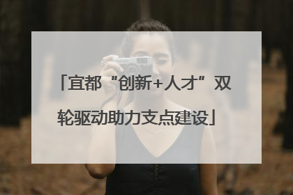 宜都“创新+人才”双轮驱动助力支点建设
