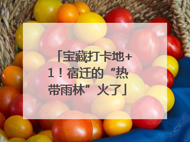 宝藏打卡地+1！宿迁的“热带雨林”火了