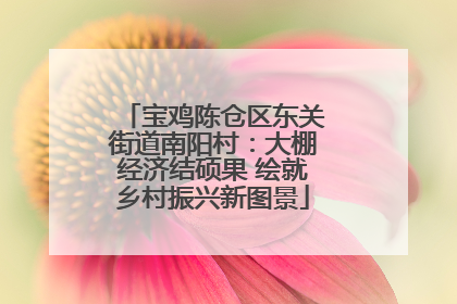 宝鸡陈仓区东关街道南阳村：大棚经济结硕果 绘就乡村振兴新图景