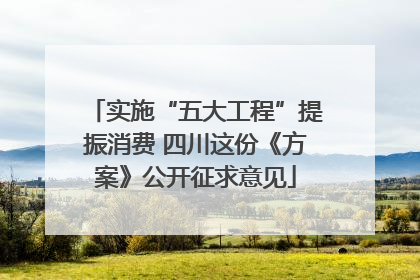 实施“五大工程”提振消费 四川这份《方案》公开征求意见