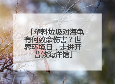塑料垃圾对海龟有何致命伤害？世界环境日，走进开普敦海洋馆
