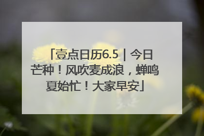 壹点日历6.5｜今日芒种！风吹麦成浪，蝉鸣夏始忙！大家早安