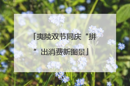 夷陵双节同庆“拼”出消费新图景