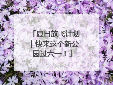 夏日放飞计划｜快来这个新公园过六一！