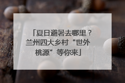 夏日避暑去哪里？兰州四大乡村“世外桃源”等你来