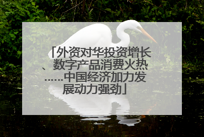 外资对华投资增长、数字产品消费火热……中国经济加力发展动力强劲