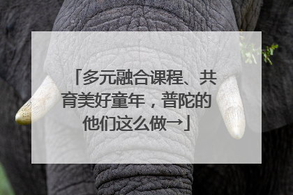 多元融合课程、共育美好童年，普陀的他们这么做→