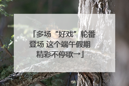 多场“好戏”轮番登场 这个端午假期精彩不停歇→