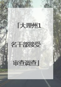 大理州1名干部接受审查调查