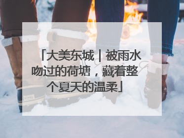 大美东城｜被雨水吻过的荷塘，藏着整个夏天的温柔