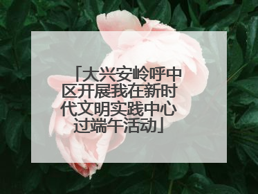大兴安岭呼中区开展我在新时代文明实践中心过端午活动
