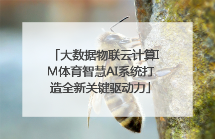 大数据物联云计算IM体育智慧AI系统打造全新关键驱动力