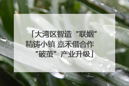 大湾区智造“联姻”精铸小镇 嘉禾借合作“破茧”产业升级