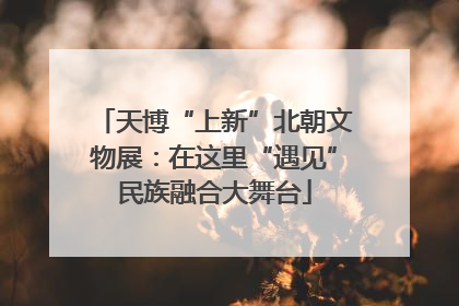 天博“上新”北朝文物展：在这里“遇见”民族融合大舞台