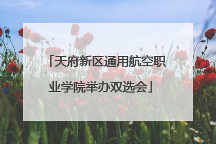 天府新区通用航空职业学院举办双选会