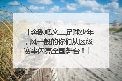 奔跑吧文三足球少年，风一般的你们从区级赛事闪亮全国舞台！