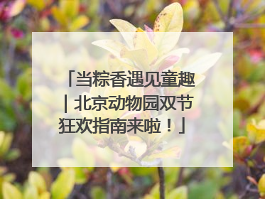 当粽香遇见童趣｜北京动物园双节狂欢指南来啦！