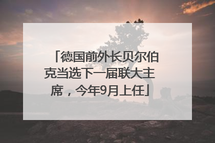 德国前外长贝尔伯克当选下一届联大主席，今年9月上任