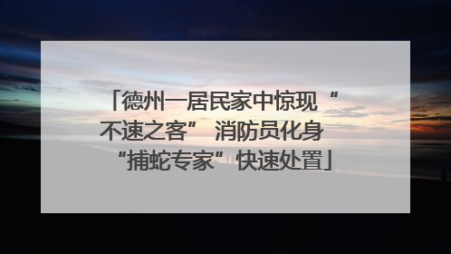 德州一居民家中惊现“不速之客” 消防员化身“捕蛇专家”快速处置