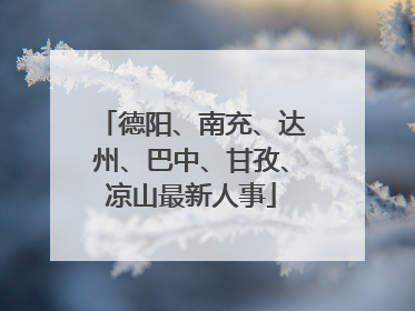 德阳、南充、达州、巴中、甘孜、凉山最新人事
