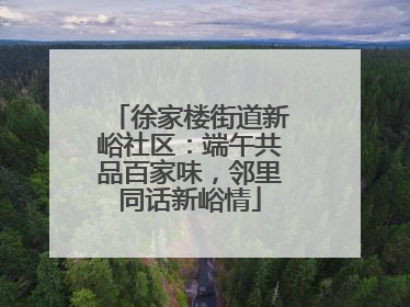 徐家楼街道新峪社区：端午共品百家味，邻里同话新峪情