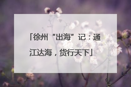徐州“出海”记：通江达海，货行天下