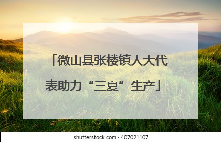 微山县张楼镇人大代表助力“三夏”生产