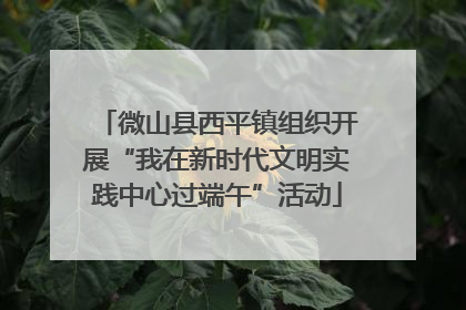 微山县西平镇组织开展“我在新时代文明实践中心过端午”活动